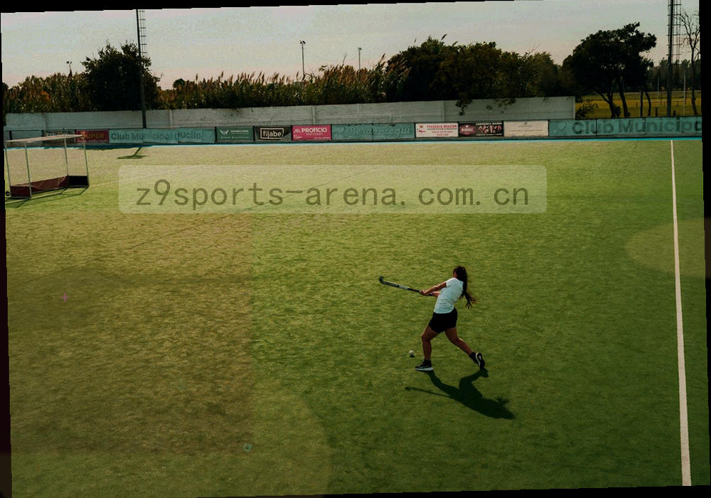 球场半场俯视示意图，箭头与区域着色区分两队推进路线